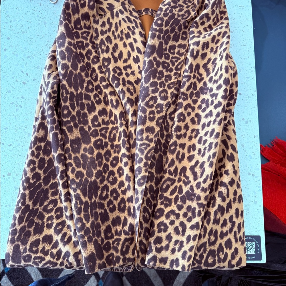 Zara Animal Print Blazer